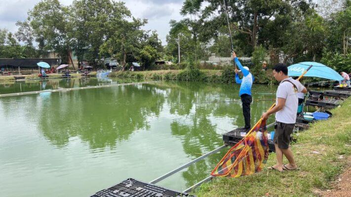 cau chuyen người dan ong di cau ca